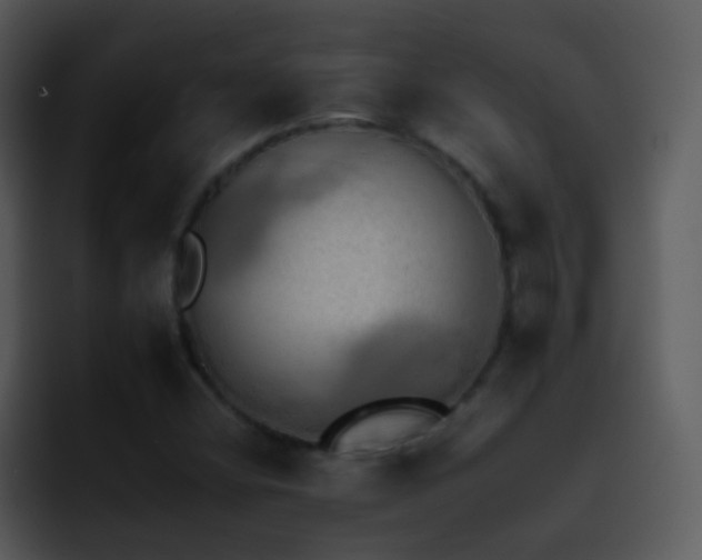 X0000095671404200801081159