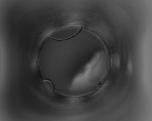 X0000095671405200801081159