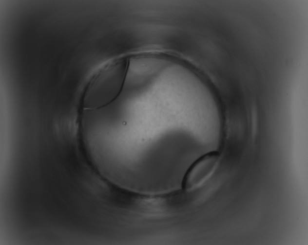 X0000095671406200801081159