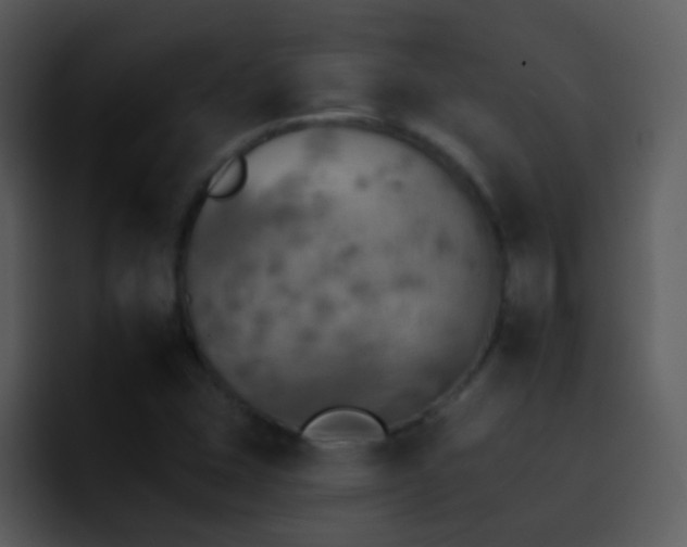 X0000095671407200801081159