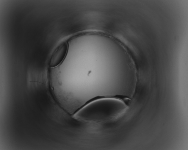 X0000095671408200801081159