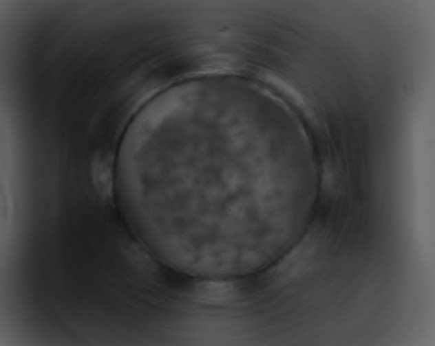 X0000095671409200801081159