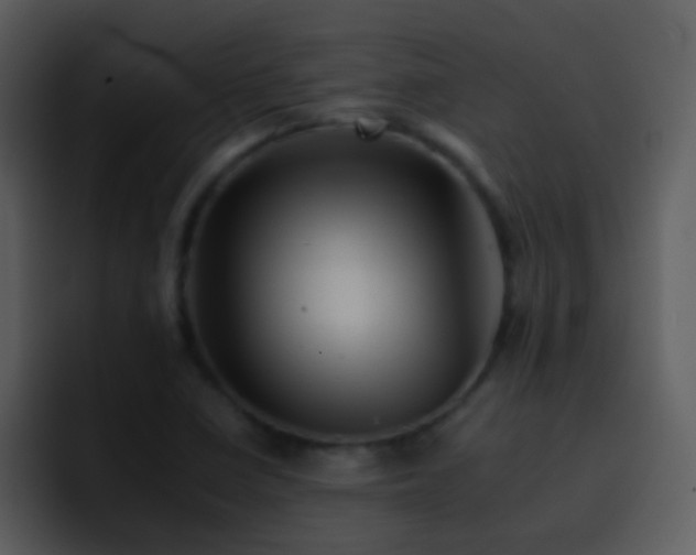 X0000095671410200801081159