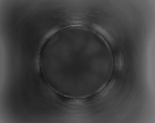 X0000095671411200801081159