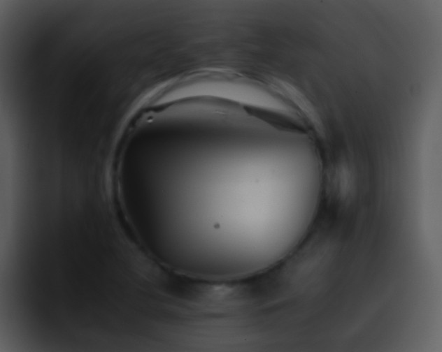 X0000095671412200801081159