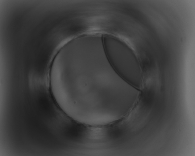 X0000095671413200801081159