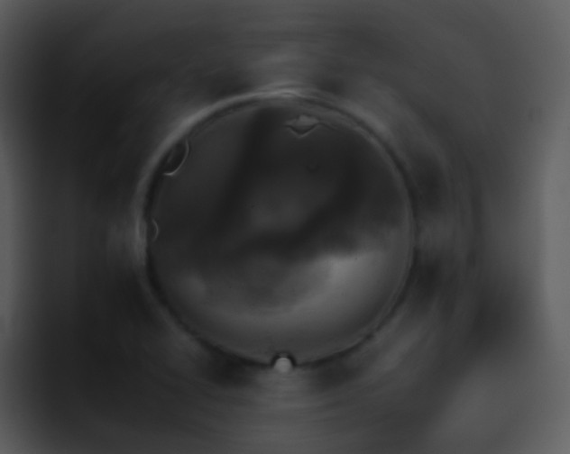 X0000095671414200801081159