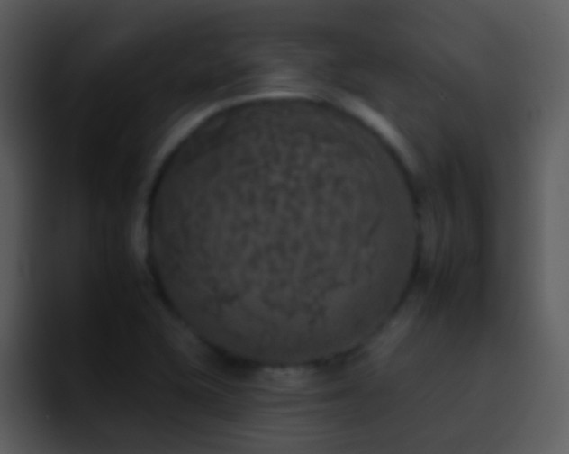 X0000095671415200801081159