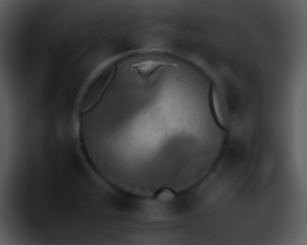 X0000095671416200801081159