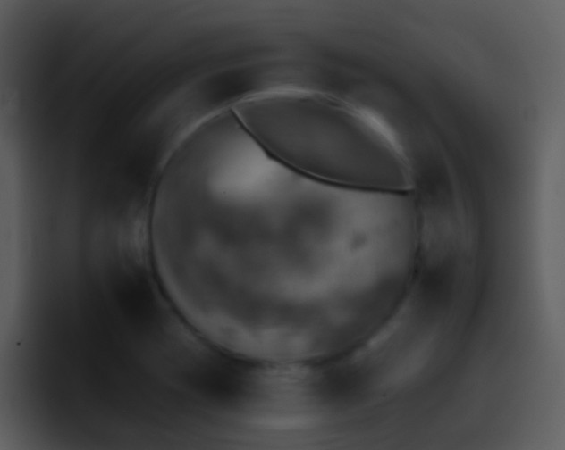 X0000095671417200801081159