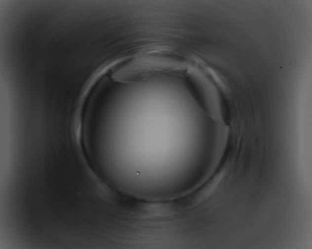X0000095671418200801081159