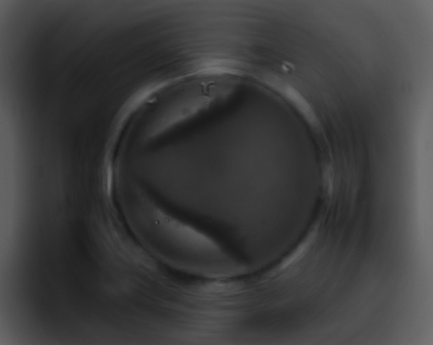 X0000095671419200801081159