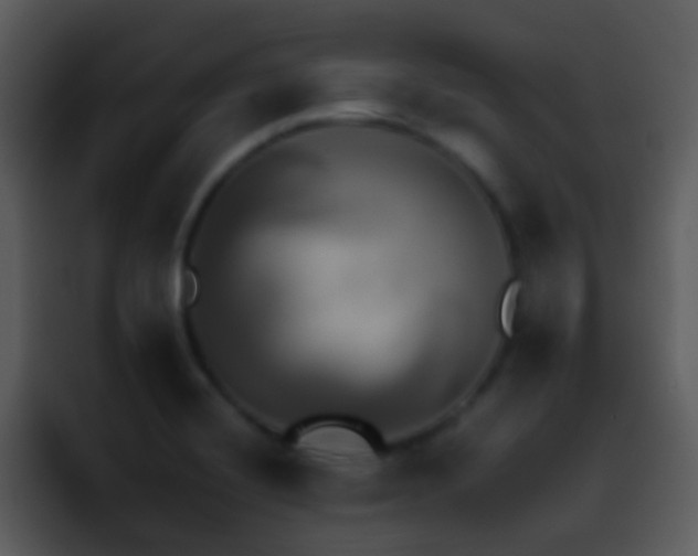 X0000095671420200801081159