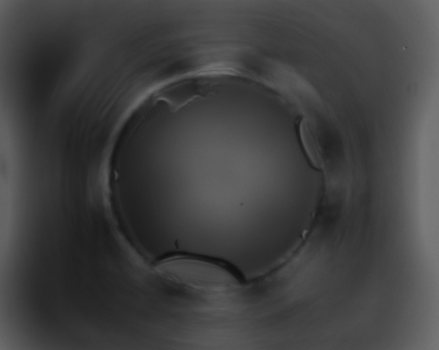 X0000095671422200801081159