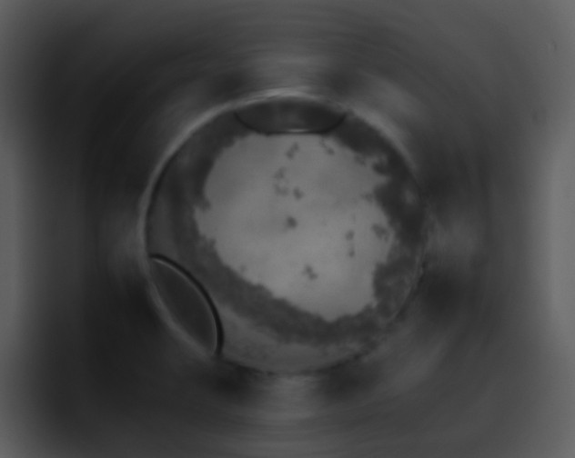 X0000095671423200801081159
