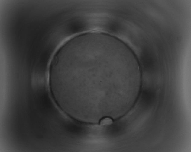 X0000095671424200801081159