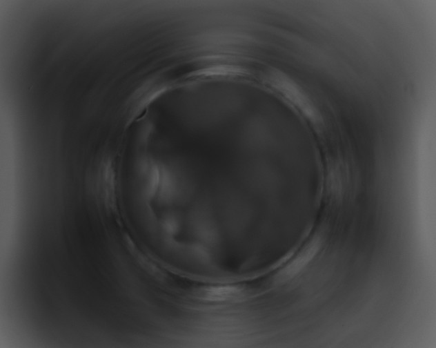 X0000095671425200801081159