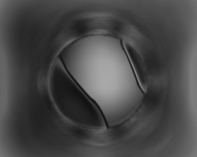 X0000095671426200801081159