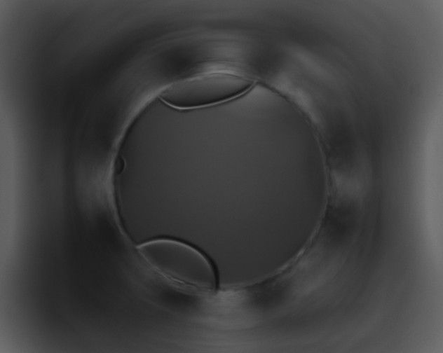 X0000095671427200801081159