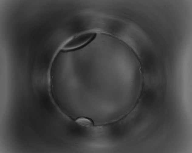 X0000095671428200801081159