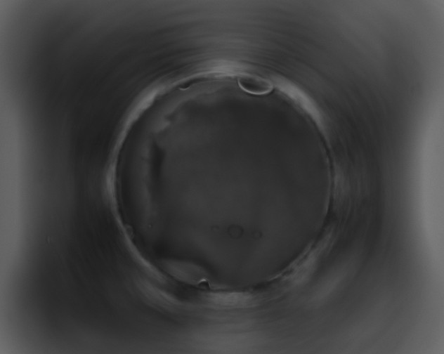 X0000095671429200801081159