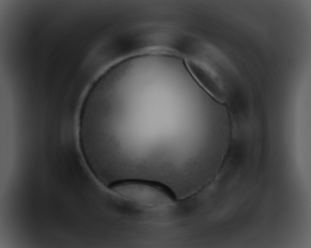 X0000095671430200801081159