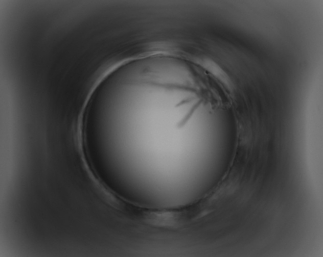 X0000095671431200801081200