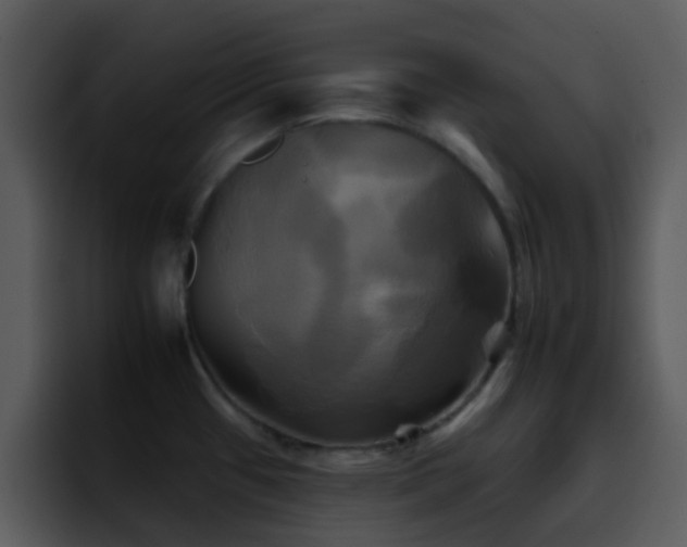 X0000095671433200801081200