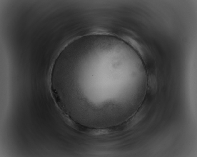X0000095671435200801081200
