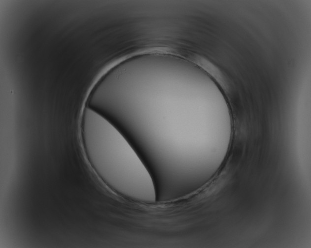 X0000095671436200801081200