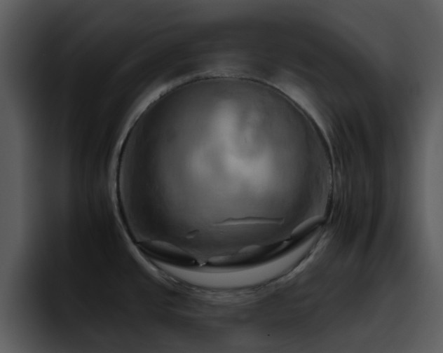 X0000095671437200801081200