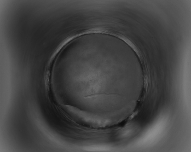 X0000095671438200801081200