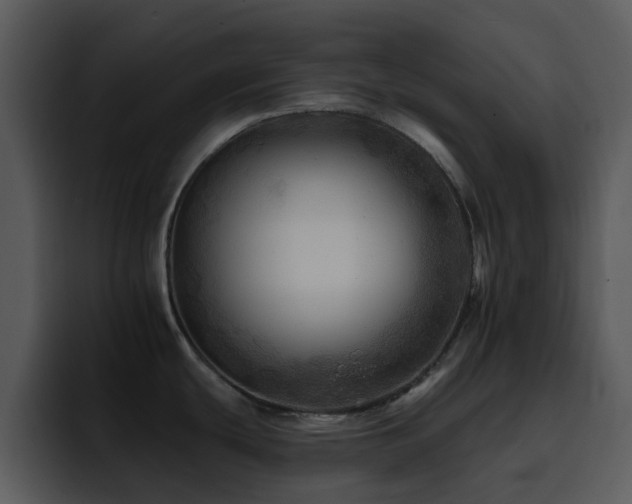X0000095671439200801081200