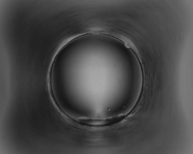 X0000095671440200801081200