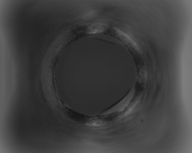 X0000095671441200801081159