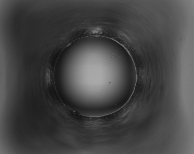 X0000095671442200801081159