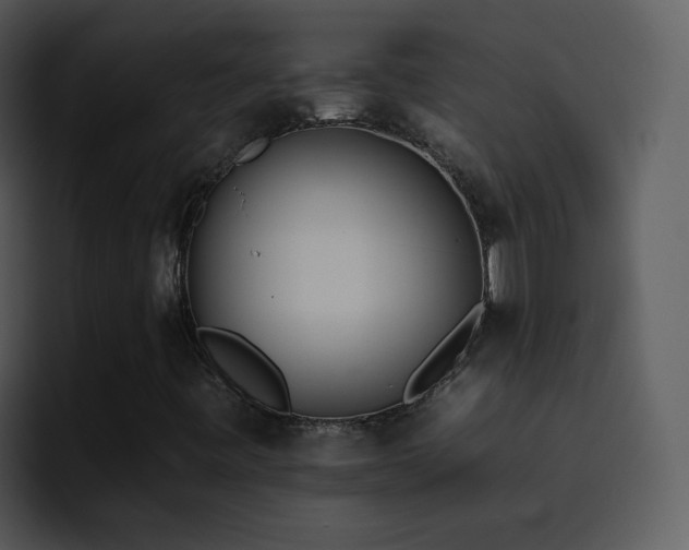 X0000095671443200801081159