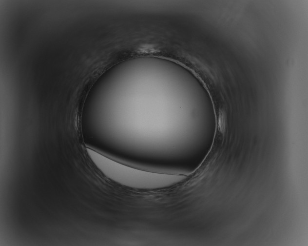 X0000095671444200801081159