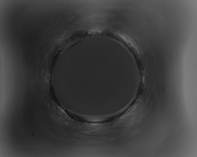 X0000095671445200801081159