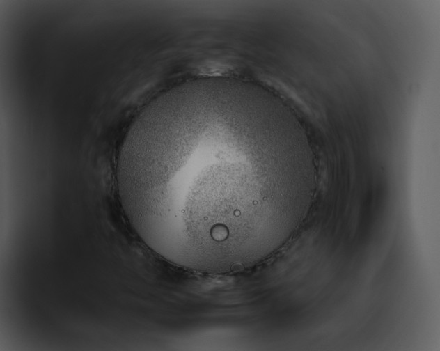 X0000095671446200801081159