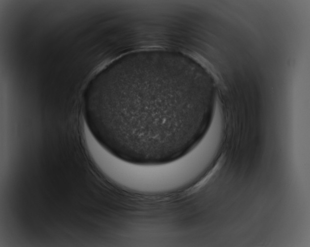 X0000095671449200801081159