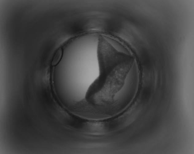 X0000095671450200801081159