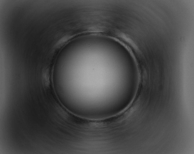 X0000095671451200801081159