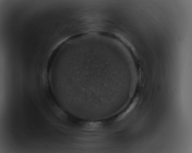 X0000095671453200801081159