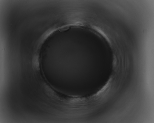 X0000095671455200801081159