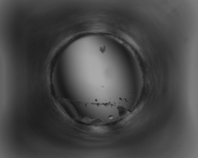 X0000095671456200801081159