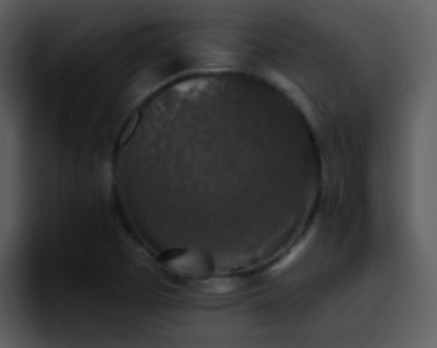 X0000095671457200801081159