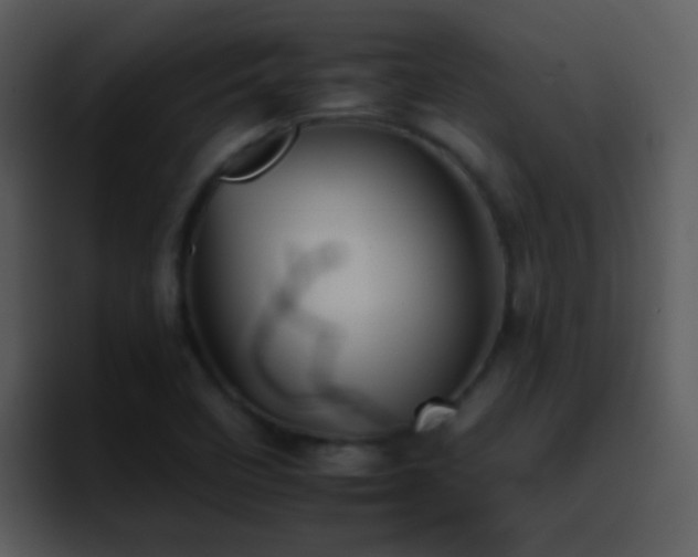 X0000095671458200801081159