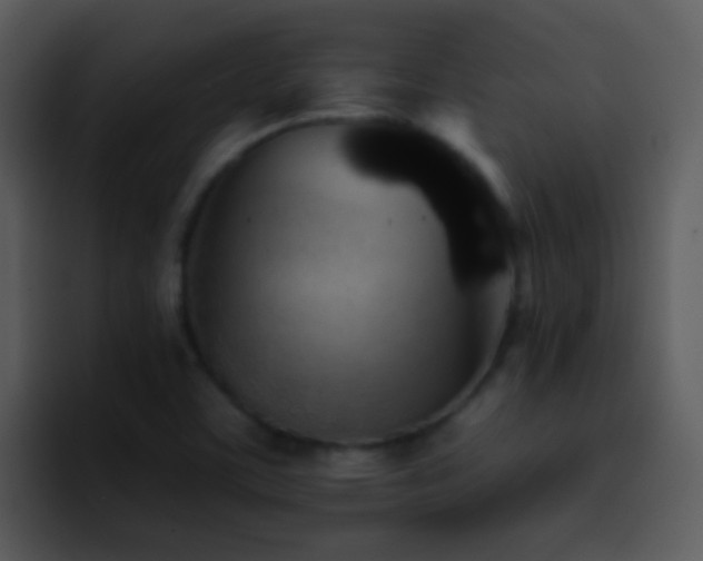 X0000095671459200801081159