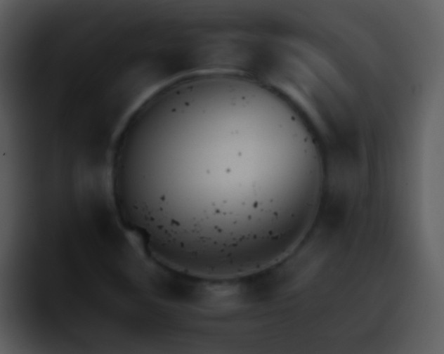 X0000095671460200801081159